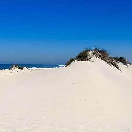 Santiago Vagos Aveiro
